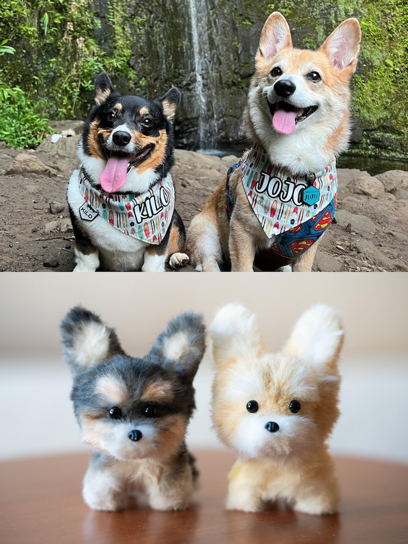 May include: Two corgi dogs wearing bandanas with the names "Kilo" and "Jojo" sit in front of a waterfall. Below, two small plush corgi dog toys are displayed, one gray and black, the other tan and white.