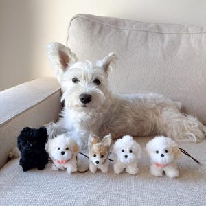 Custom Dog Cat Plush, Handmade Pet Plush, Cute Cat Dog Plush, Gift For Dog Cat Lover, Custom Stuffed Animal, Unique Gift For Mom