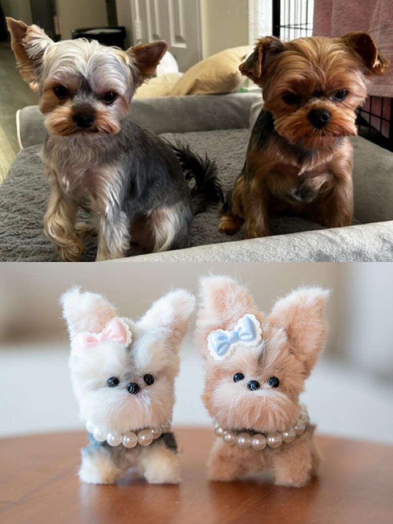 May include: Two Yorkshire Terrier dogs, one gray and black, the other brown and black, sit side-by-side. Below, two plush toy Yorkies are displayed, one white and gray, the other tan, each with a bow and pearl necklace.