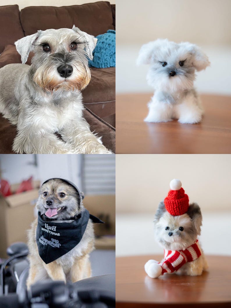 May include: A collection of four dog images. A gray and white Schnauzer dog is lying down. A small, fluffy, white and gray dog is sitting. A tan dog is wearing a black bandana and a black hat. A small dog is wearing a red hat and a red and white scarf.