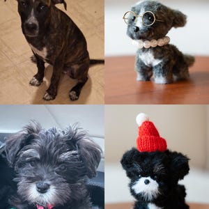 May include: Four images of dogs. The top left shows a brindle dog with white markings. The top right shows a small, gray stuffed dog wearing glasses and a pearl necklace. The bottom left shows a black dog with a pink collar. The bottom right shows a black and white stuffed dog wearing a red hat.