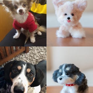 May include: A collage of four dog images. A small, light brown and white dog wearing a red sweater. A plush, light pink and white dog with large ears. A black, white, and brown dachshund. A plush, black, white, and gray dog with a red collar.