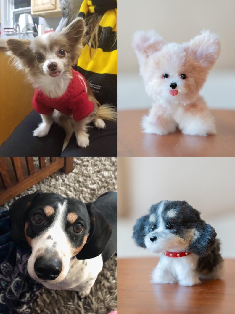 May include: A collage of four dog images. A small, light brown and white dog wearing a red sweater. A plush, light pink and white dog with large ears. A black, white, and brown dachshund. A plush, black, white, and gray dog with a red collar.