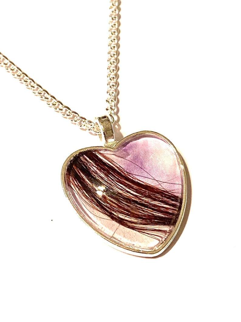 Pet Hair Keepsake Jewellery Dog Hair Locket Cat Fur Gift Etsy UK