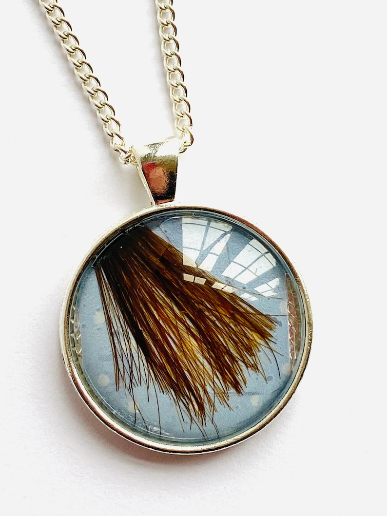 Pet Hair Keepsake Jewellery Dog Hair Locket Cat Fur Gift Etsy UK