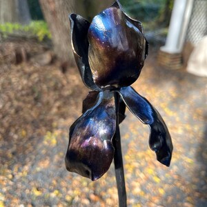 May include: A black metal sculpture of a flower with a single bloom and three petals. The metal has a dark, iridescent finish.