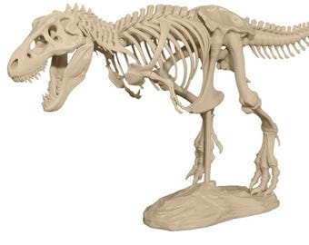 T-Rex フルスケルトン 3D モデル STL ファイル: 恐竜化石レプリカ