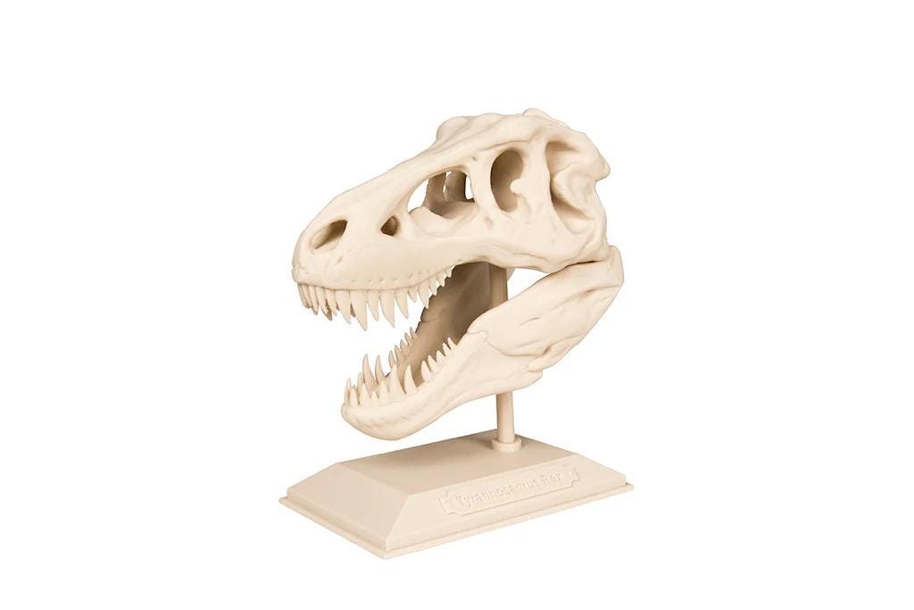 T-Rex の頭蓋骨 3D プリント STL ファイル: 恐竜の化石レプリカ