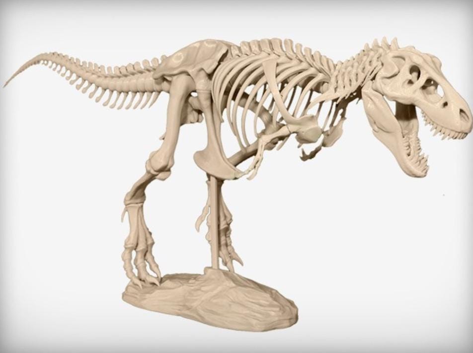 T-Rex フルスケルトン 3D モデル STL ファイル: 恐竜化石レプリカ