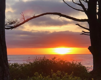 Northwest Pacific Coast Sunset Digital Photograph/Romantic Beach Walk