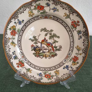 Può includere: Un piatto rotondo in ceramica con base color crema caratterizzato da un'illustrazione centrale di due uccelli colorati appollaiati su un ramo. Il bordo è decorato con un motivo ripetitivo di fiori rossi, gialli e blu, foglie verdi e volute nere.