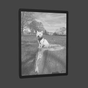 3D Printed Lithophane | Colour (CMYK) or Monochrome | Custom & Personalised Photo Gift | LED Backlit Frame | FDM Print | Unique Keepsake