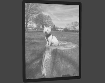 3D Printed Lithophane | Colour (CMYK) or Monochrome | Custom & Personalised Photo Gift | LED Backlit Frame | FDM Print | Unique Keepsake