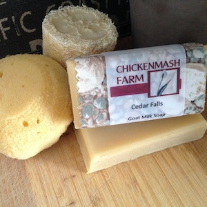 Cedar Falls Goat Milk Soap | Handmade Goat Milk Soap | Essential Oil Soap | Bar Soap | Soap For Men