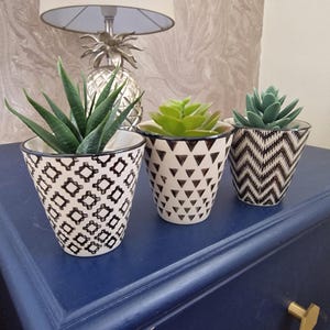 May include: Three black and white patterned ceramic planters with green succulent plants. The planters are on a dark blue surface.