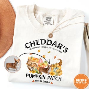 May include: A cream-colored t-shirt featuring a graphic of a corgi, a wooden wagon, and various pumpkins. The text reads CHEDDAR'S LOCALLY GROWN PICKED BY PAW ALWAYS FRESH PUMPKIN PATCH OPEN DAILY. A small circular inset shows a photo of a corgi.