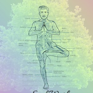 Yoga Pose, Yoga Tree Pose, Yoga Print, Anatomy Print, Yoga Pose Print, Yoga Tree Pose Illustration