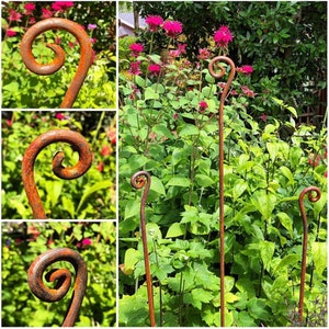 Free Shipping Metal Garden Art Plant Sculpture Stakes Unique Outdoor Gift Handmade Decor Forged Scrolls Sold Individually image 4