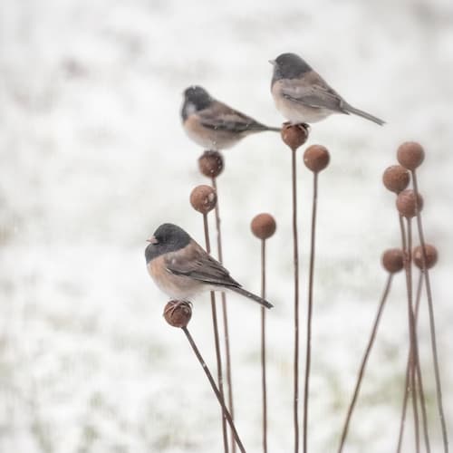 Free Shipping Kinetic Metal Garden Art Sculpture Grouping of 7 -1" Balls Outdoor Garden Decor Yard Art Gift Ball Weeds