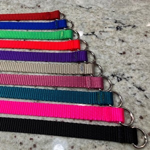 May include: A collection of colorful dog collars in various shades, including red, blue, green, and pink. Each collar is made of woven nylon and features a silver metal ring for leash attachment. The collars are arranged in a row.