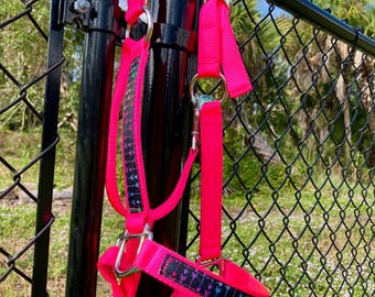 Cabresto para cavalo com estampa de flechas do arco-íris, opções de bordado personalizadas, várias cores.