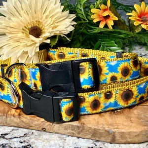 Könnte beinhalten: Zwei Hundehalsbänder mit einem gelb-blauen Sonnenblumenmuster. Die Halsbänder haben schwarze Kunststoffverschlüsse und Metall-D-Ringe. Sie werden auf einer Holzoberfläche mit Blumen im Hintergrund präsentiert.