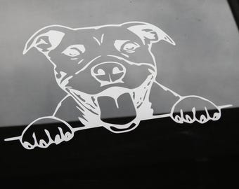 Cute peeking pit bull dog vinyl decal - window sticker