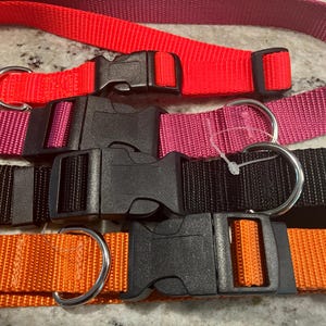 以下が含まれることがあります： 黒いプラスチックバックルとシルバーのDリングが付いた、4色の異なる色の犬用首輪。首輪は赤、ピンク、黒、オレンジです。