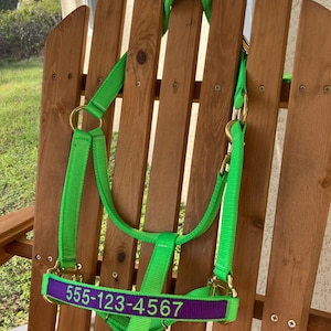 Custom Embroidered Horse Halter: Durable Nylon, Adjustable Fit