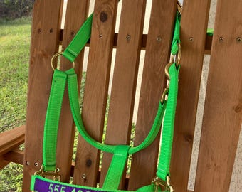 May include: Green horse halter with a purple strap that says "555-123-4567".
