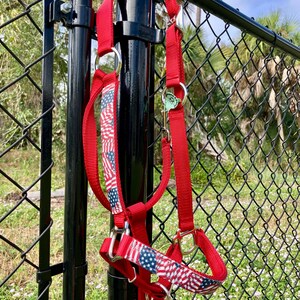 Vaterhaftes Pferdehalfter: Amerikanische Flagge, rotes Nylon - bestickt oder bestickt