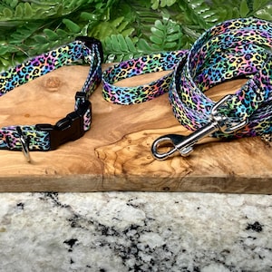 Può includere: Un set di collare e guinzaglio per cani con un vivace motivo leopardato. Il collare ha una fibbia nera e un anello di metallo. Il guinzaglio ha un moschettone in metallo. Il set è esposto su una superficie di legno.