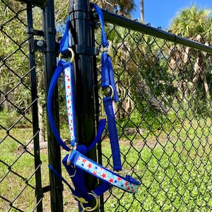Könnte beinhalten: Ein blauer Hundehalfter mit einem rot-weiß gestreiften Sternmuster, das an einem schwarzen Zaunpfosten hängt. Das Halfter hat goldfarbene Metallringe und -verschlüsse. Der Hintergrund umfasst einen Maschendrahtzaun, grünes Gras und Palmen.