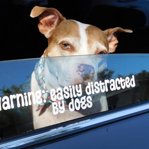 Waarschuwing: gemakkelijk afgeleid door honden, gesneden vinylsticker - raamsticker
