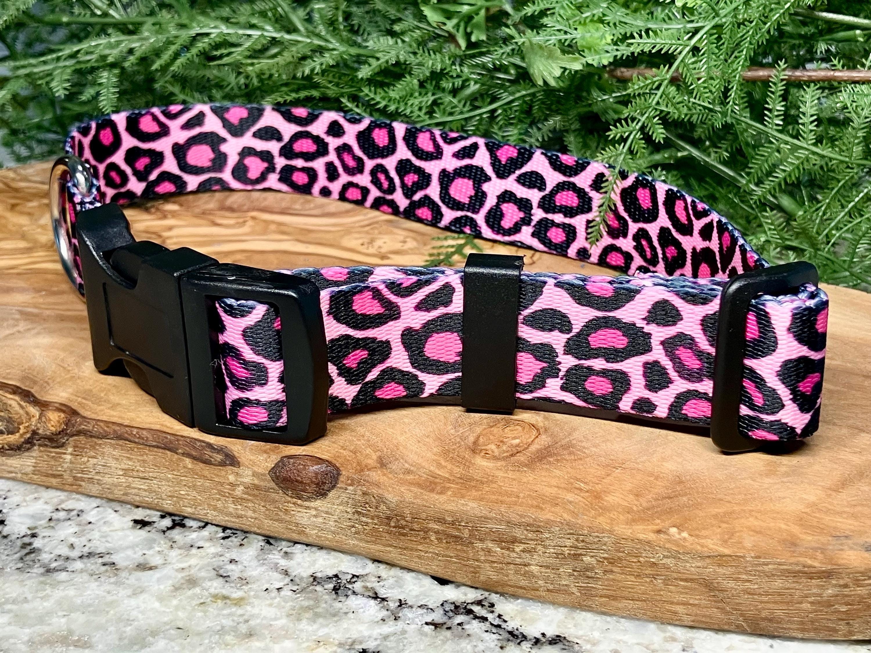 ピンク系 ヒョウ柄首輪 犬用 チェーン付き｜楽天市場】【ヒョウ柄 首輪 M