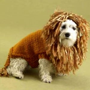 Dog coat vintage knitting pattern PDF download.