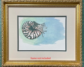 Nautilus handprinted handpainted letterpress matted art card