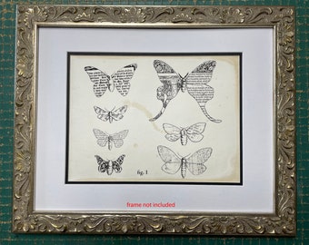 Book Moths Hand-Printed intaglio print