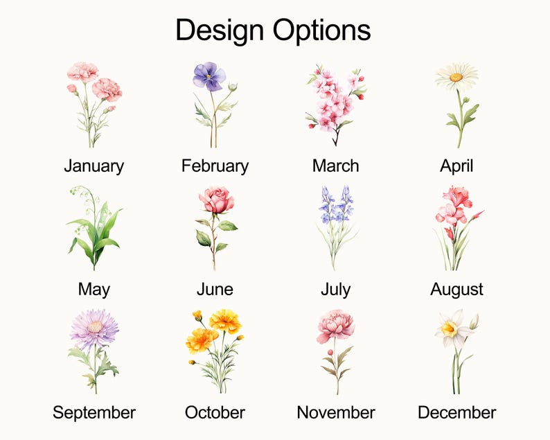 Op de afbeelding: Een afbeelding met designopties, met aquarel illustraties van bloemen die elke maand van het jaar vertegenwoordigen. De tekst "Design Options" staat bovenaan. Elke bloem is gelabeld met de bijbehorende maand, van januari tot december.