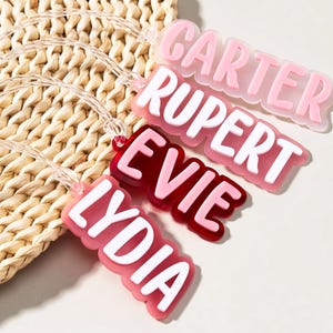 Op de afbeelding: Vier gepersonaliseerde naamlabels in roze en rode tinten, elk met een andere naam in witte letters: Carter, Rupert, Evie en Lydia. De labels zijn bevestigd aan transparante plastic lussen. De achtergrond is een geweven strooien mat.