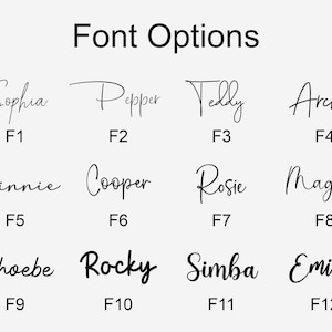 May include: A graphic displaying twelve font options with names and corresponding codes. The fonts are in a cursive style, with names like Sophia, Pepper, and Archie. The text "Font Options" is at the top in a bold, sans-serif font.