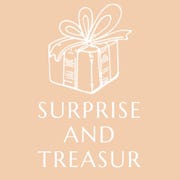 SupriseAndTreasure store logo