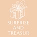 SupriseAndTreasure store logo