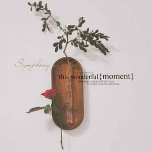 2er Set Wandpflanzenvase|Holzwanddekor|Vermehrung Wandbehang|Hängevase| Blumenampel| Holz hängend Geschenk | Wandpflanzer Innen