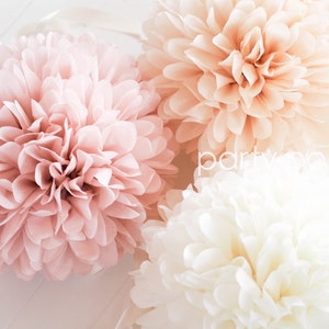 Pompon di carta velina BLUSH & CHAMPAGNE