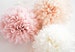 BLUSH & CHAMPAGNE Tissue Paper Poms 
