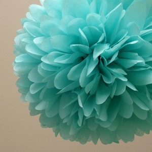 Aqua Tissue Paper Pom