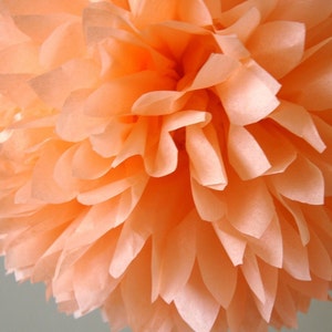 Peach Tissue Pom .. Birthday / Wedding Decoration image 1