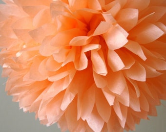 Peach Tissue Pom .. Birthday / Wedding Decoration