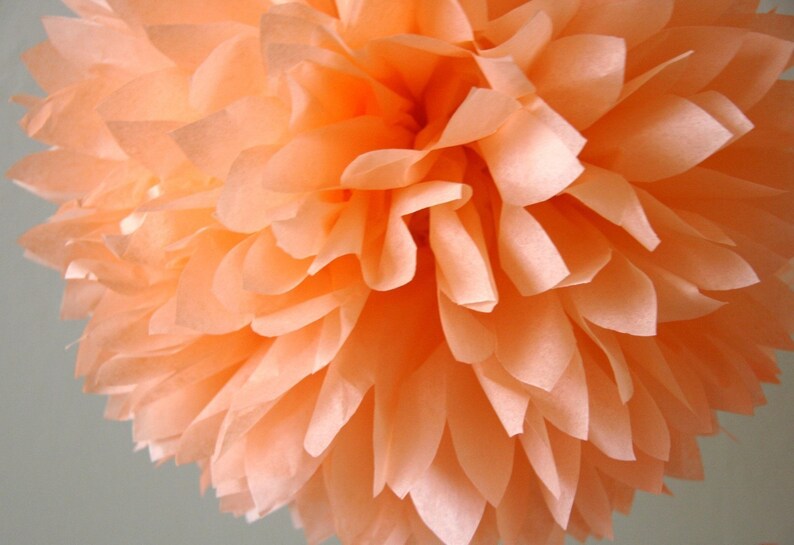 Peach Tissue Pom .. Birthday / Wedding Decoration image 1